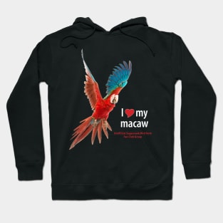 macaw (1) Hoodie